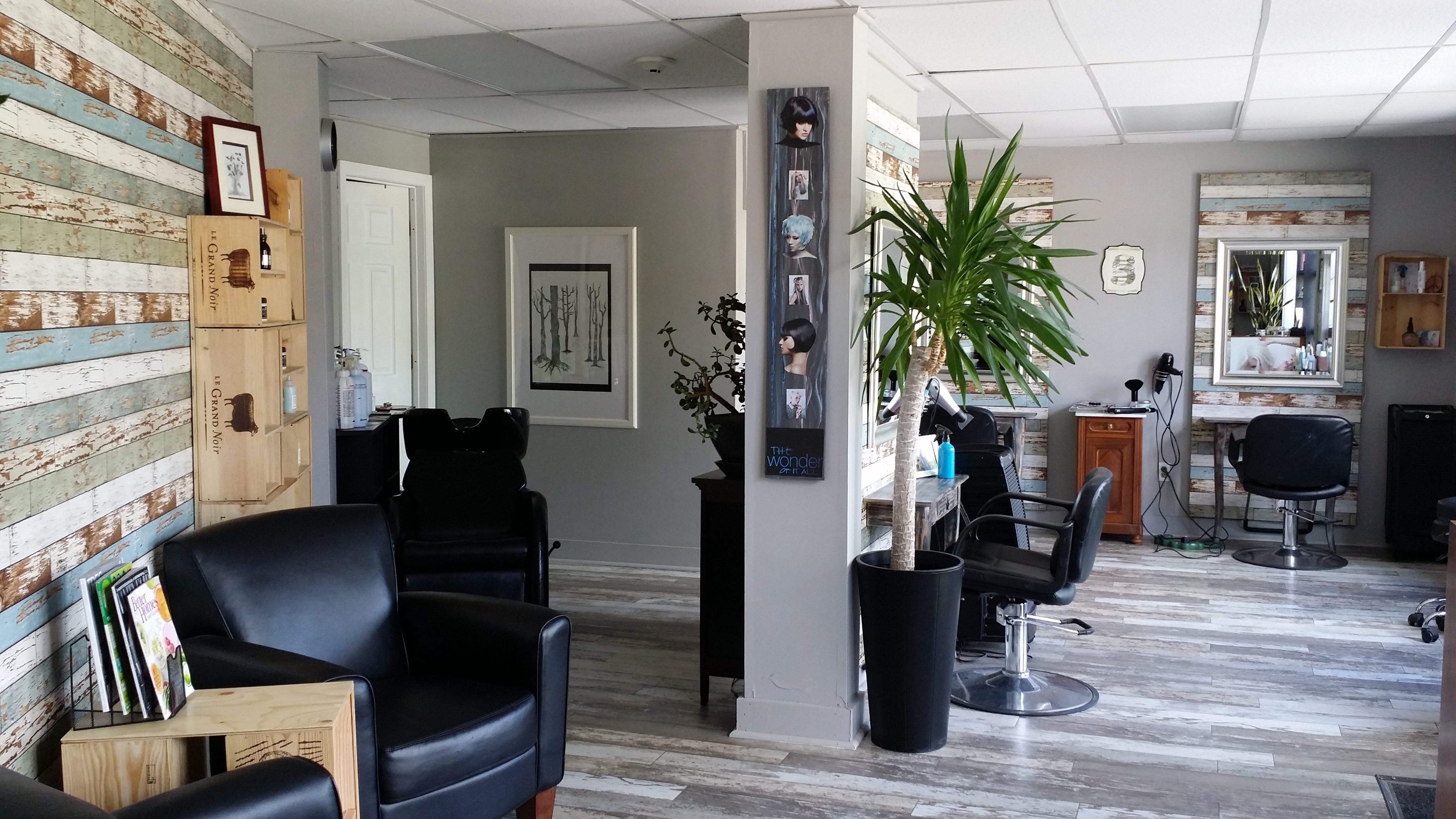 Website and Vistaprint